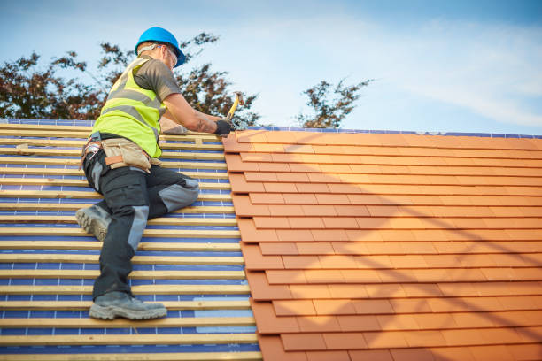 Best Rubber Roofing (EPDM, TPO)  in Burr Ridge, IL