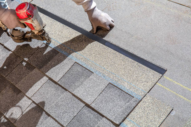 Best Asphalt Shingle Roofing  in Burr Ridge, IL